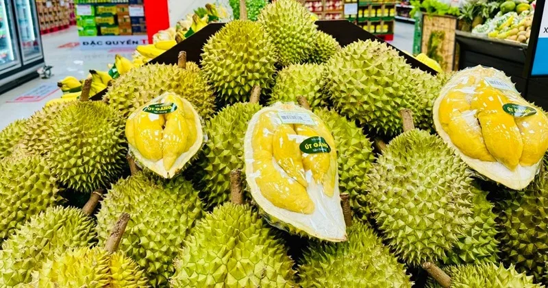 Ăn Sầu Riêng Có Tốt Không: Giải Đáp Chi Tiết Lợi Ích Và Lưu Ý